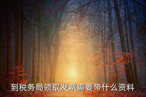 到稅務局領取發票需要帶什么資料