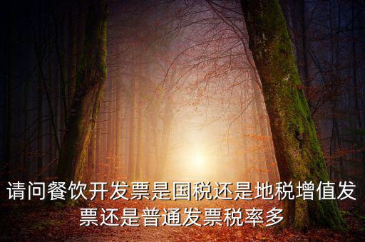 請問餐飲開發票是國稅還是地稅增值發票還是普通發票稅率多
