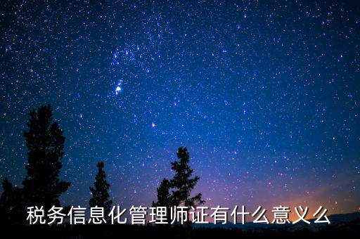 稅務信息化管理師證有什么意義么