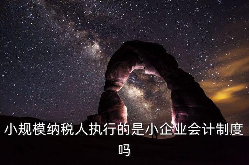 小規模納稅人執行的是小企業會計制度嗎