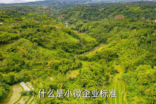 小型微利企業標準是什么，微小型企業的標準是什么
