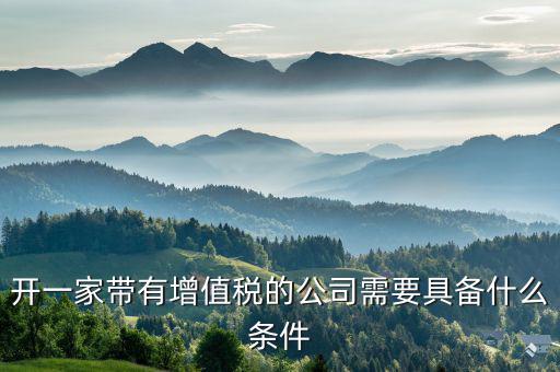 開一家帶有增值稅的公司需要具備什么條件