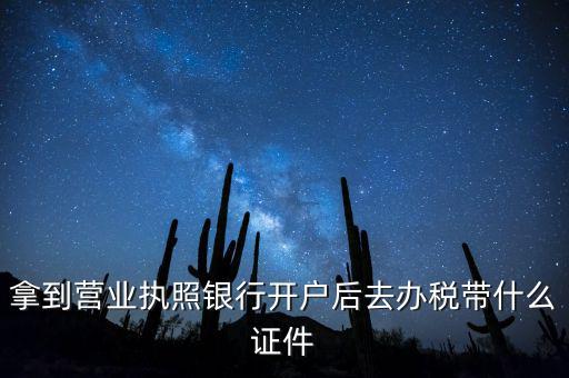 拿到營業執照銀行開戶后去辦稅帶什么證件