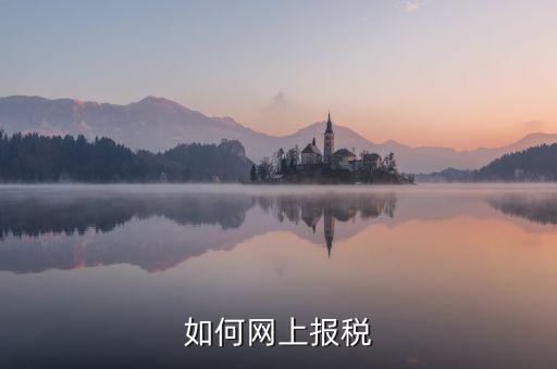 如何網上報稅