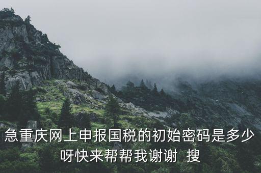 急重慶網上申報國稅的初始密碼是多少呀快來幫幫我謝謝  搜