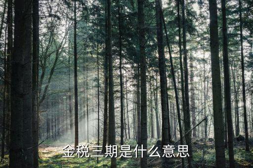 什么是金稅三期優化版，金稅三期是什么意思