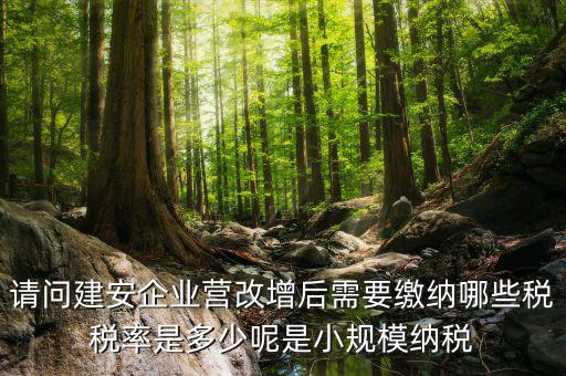 請問建安企業營改增后需要繳納哪些稅稅率是多少呢是小規模納稅
