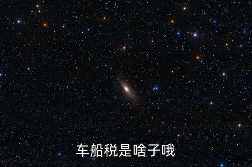 保險的車船稅是什么，車船稅是啥子哦