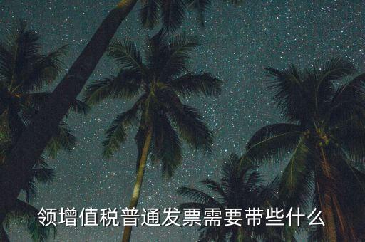 領增值稅普通發票需要帶些什么