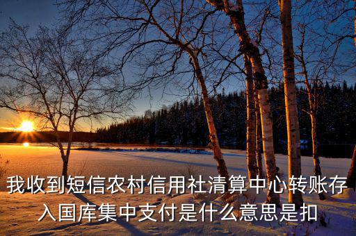 我收到短信農村信用社清算中心轉賬存入國庫集中支付是什么意思是扣
