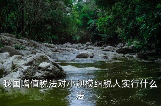 我國增值稅法對小規模納稅人實行什么法