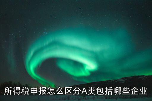 所得稅申報怎么區分A類包括哪些企業