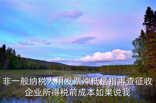 什么是非一般納稅人，非一般納稅人用發(fā)票沖抵是指再查征收企業(yè)所得稅前成本如果說(shuō)我