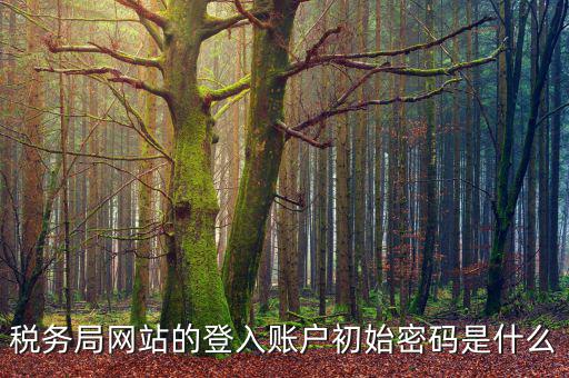 浙江國稅登入密碼是什么，稅務局網站的登入賬戶初始密碼是什么