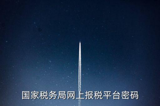 國家稅務局網上報稅平臺密碼