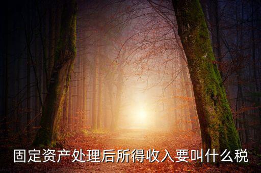 什么叫做試點納稅人，固定資產處理后所得收入要叫什么稅