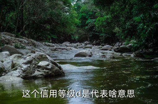 納稅信用d級是什么情況，企業被稅務局認定為d級什么概念