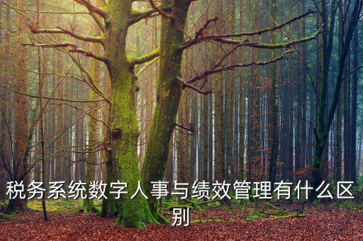 稅務系統數字人事與績效管理有什么區別