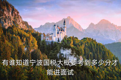 國稅 要求什么素質，國稅公務員面試