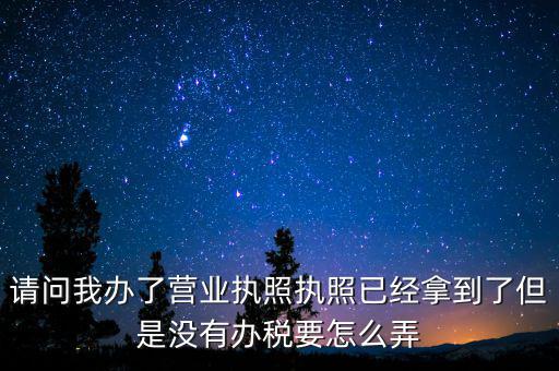 請問我辦了營業執照執照已經拿到了但是沒有辦稅要怎么弄