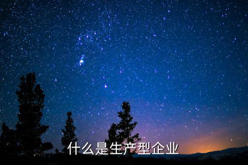 什么是生產型企業