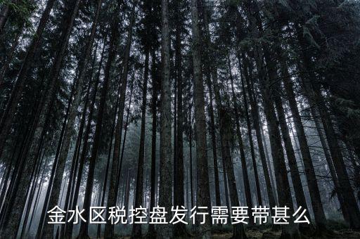 稅盤發行要帶什么資料，去國稅局辦發行需要什么資料