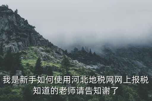 河北地稅申報用戶名是什么意思，用戶名是什么意思