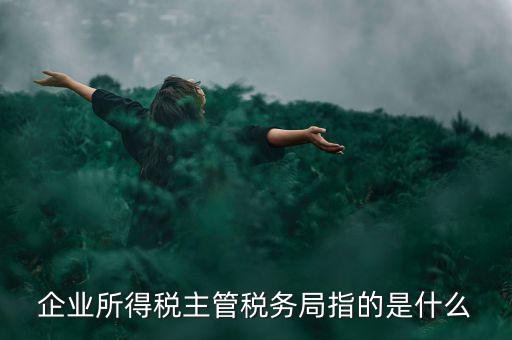 企業所得稅主管稅務局指的是什么