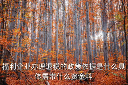 福利企業辦理退稅的政策依據是什么具體需帶什么資金料