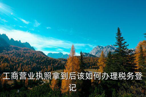 營業執照辦理后稅務辦理什么，工商營業執照拿到后該如何辦理稅務登記