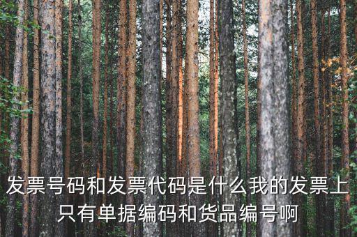 發票代碼和發票號碼是什么，發票代碼和發票號碼有什么用