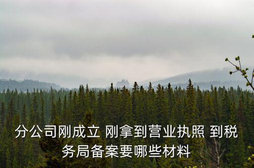 分公司剛成立 剛拿到營業執照 到稅務局備案要哪些材料