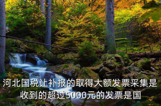 河北國稅讓補報的取得大額發票采集是收到的超過5000元的發票是國