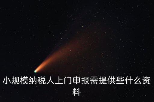 什么是上門申報，小規模納稅人上門申報需提供些什么資料