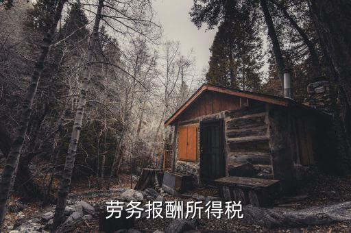 什么是勞動(dòng)報(bào)酬稅，勞務(wù)稅是什么