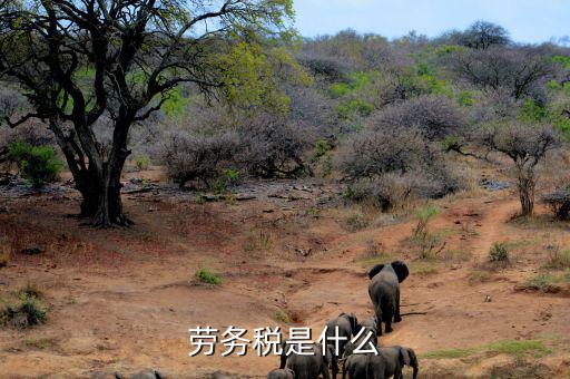 勞務稅是什么