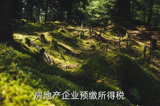 房地產預繳是什么意思，房價預交1萬抵2萬是什么意思