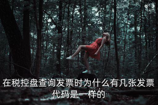 在稅控盤查詢發票時為什么有幾張發票代碼是一樣的
