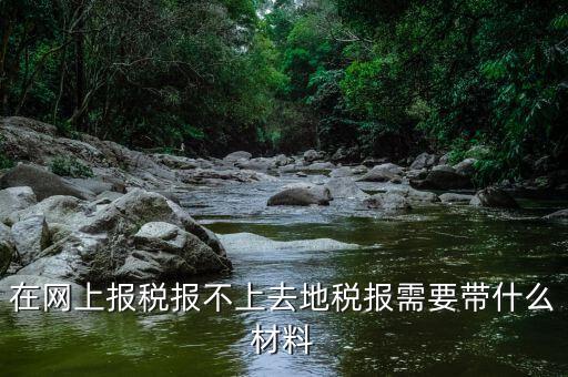 網上報稅反寫失敗帶什么手續，去國稅局查看反寫需要帶什么