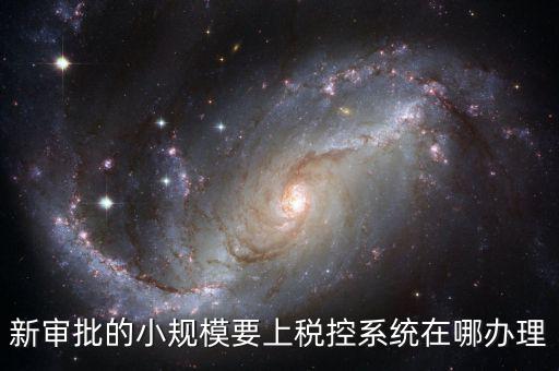 新審批的小規模要上稅控系統在哪辦理