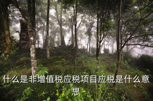 成品油應稅和非應稅是什么意思，什么是非增值稅應稅項目應稅是什么意思