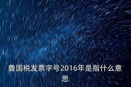 魯國稅發票字號2016年是指什么意思