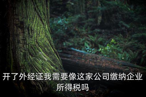 開了外經證我需要像這家公司繳納企業所得稅嗎
