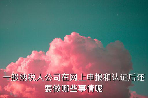 一般納稅人公司在網上申報和認證后還要做哪些事情呢