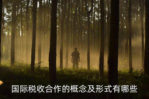 國際稅源是什么意思，國際稅收合作的概念及形式有哪些