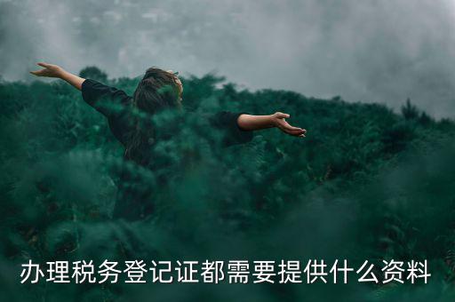 辦理稅務登記證都需要提供什么資料