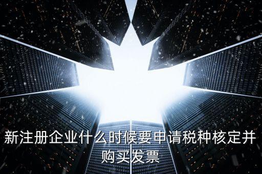 新注冊企業什么時候要申請稅種核定并購買發票