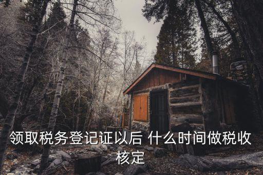 什么時候需要稅種核定，新注冊企業什么時候要申請稅種核定并購買發票