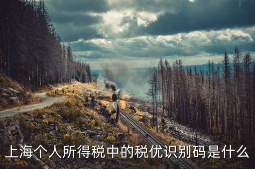 上海個人所得稅中的稅優識別碼是什么