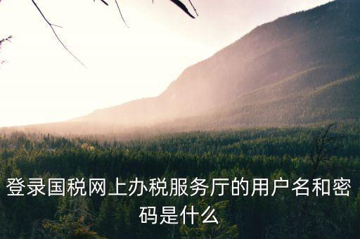 登錄國稅網上辦稅服務廳的用戶名和密碼是什么
